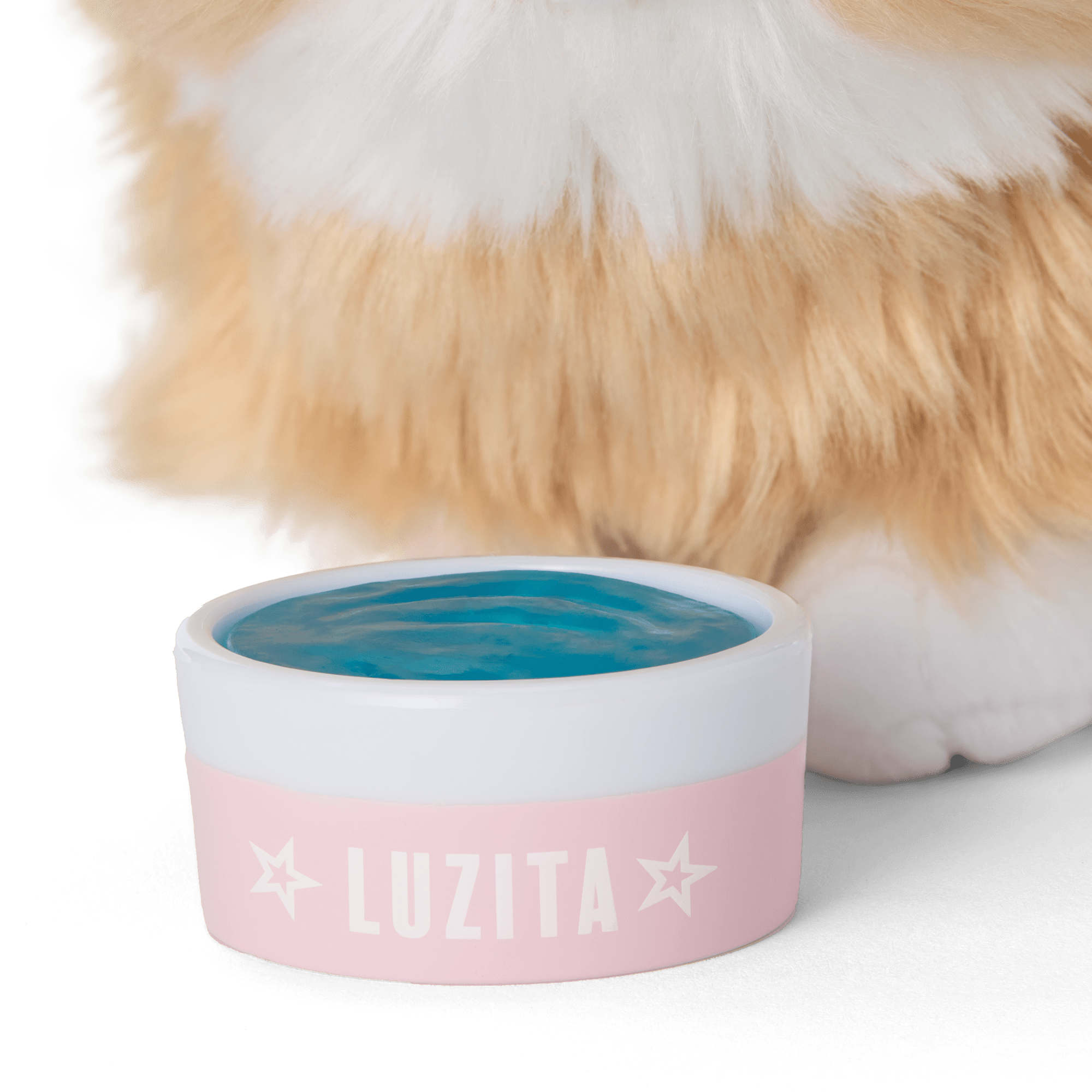 Raquel's Summer Fun Bundle (Girl Of The Year 2026) - Image 24