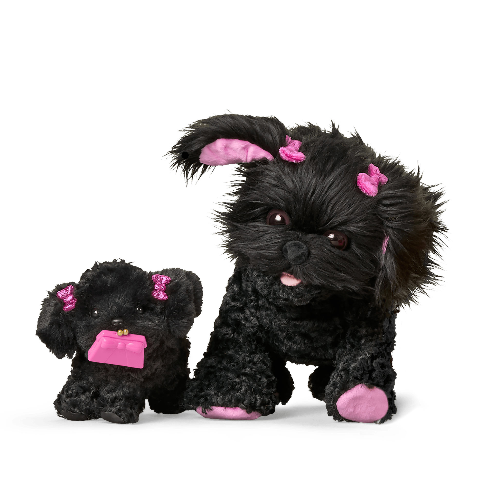 Shi-Poo Sweetie Dog Bundle